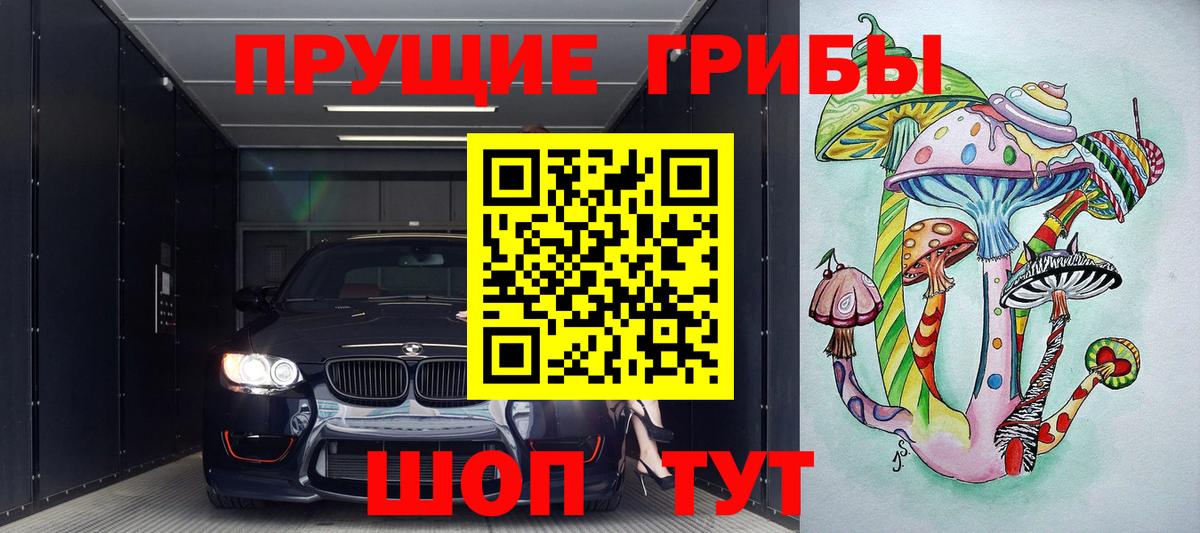 Псилоцибиновые грибы Psilocybine cubensis  Вход с VPN  как найти   Котлас 
