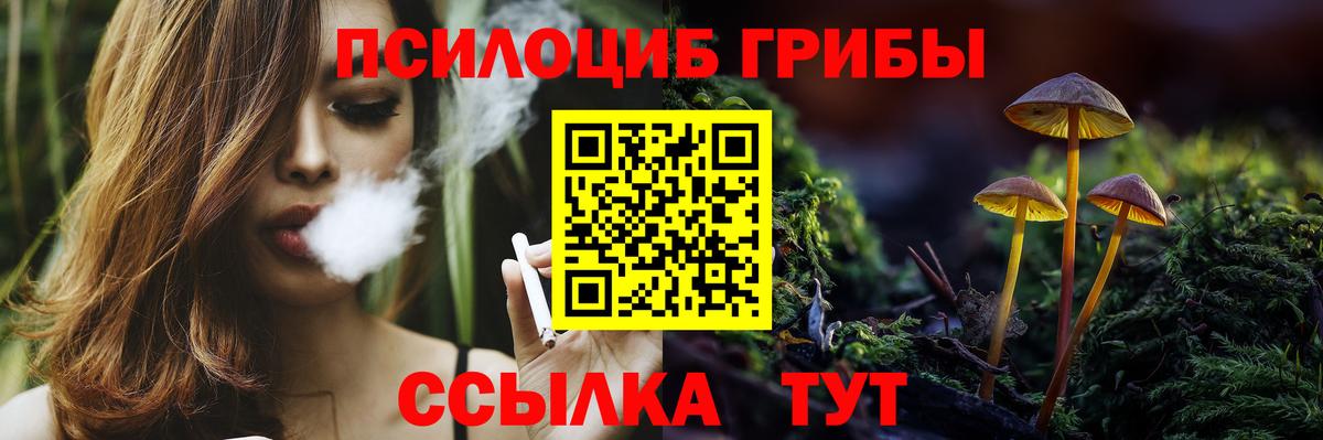 Галлюциногенные грибы MAGIC MUSHROOMS Котлас