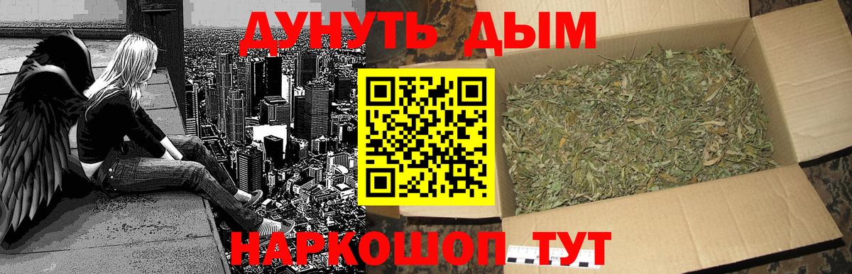 Каннабис индика Котлас